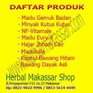 daftar produk herbal makassar