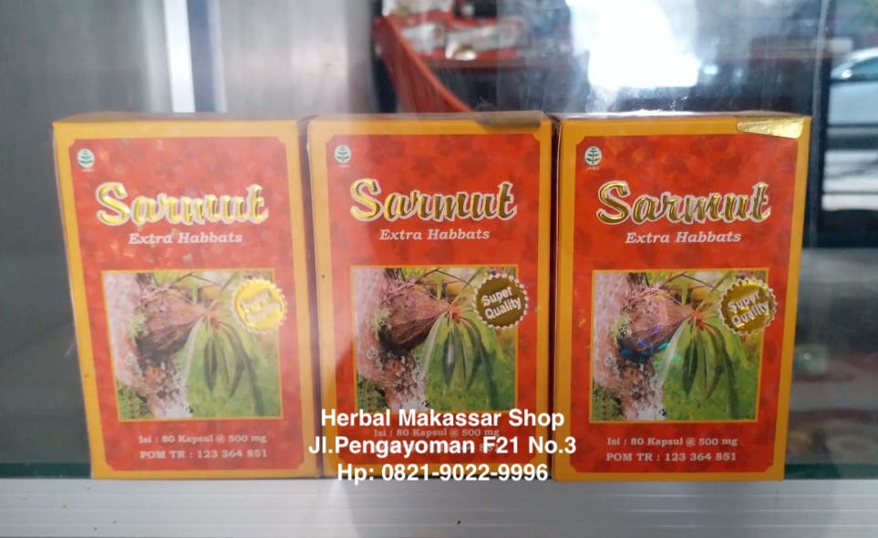 Sarang Semut Makassar