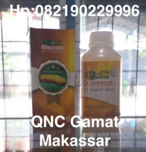 QNC Gamat Makassar